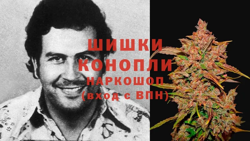 ссылка на мегу как войти  как найти закладки  Белоярский  Марихуана OG Kush 